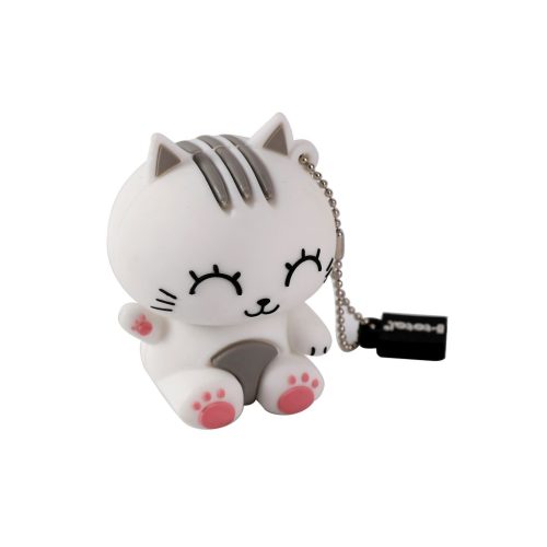 USB stick iTotal 32GB Cat sortirano 16/1 CM3424