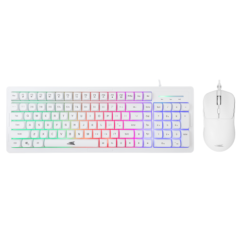 Baracuda TIPKOVNICA+MIŠ BGC-012 ORCA Bijela - Combo
